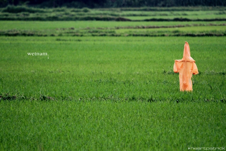 heartpatrick central vietnam hue hoi an myson danang