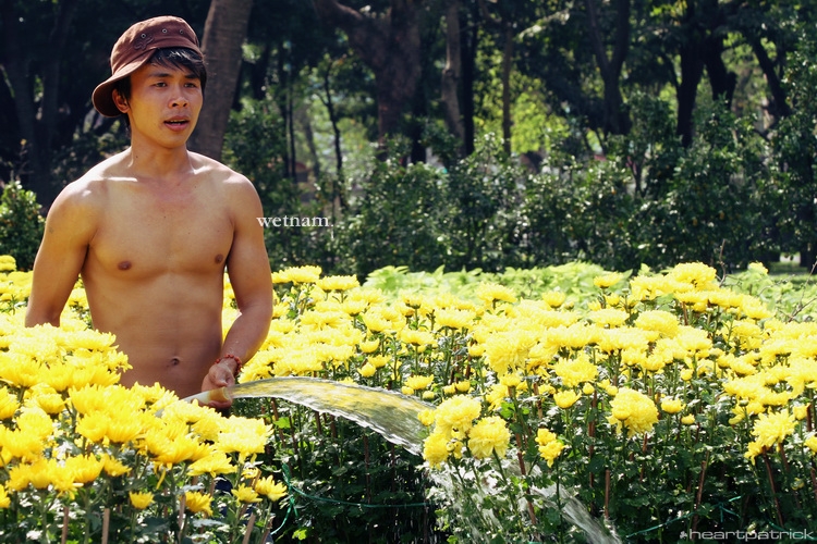 heartpatrick central vietnam hue hoi an myson danang