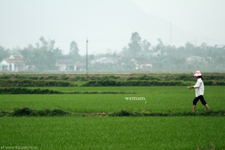 heartpatrick central vietnam hue hoi an myson danang
