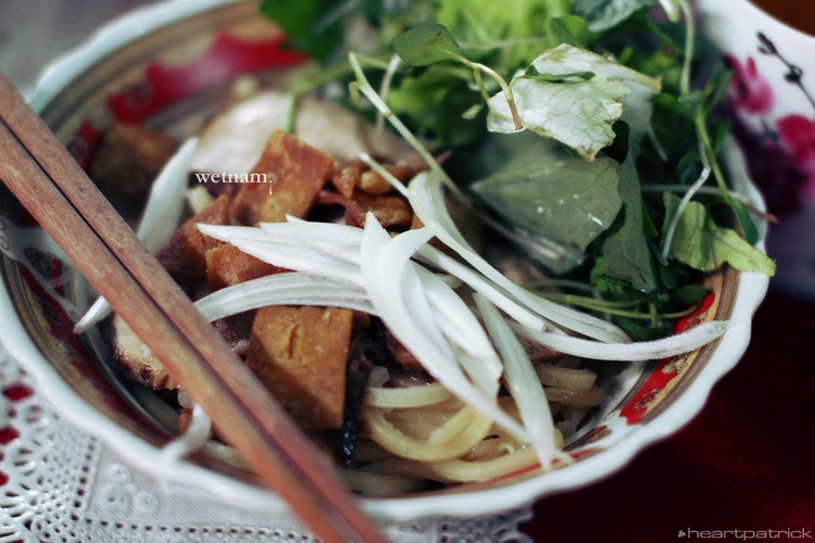 heartpatrick central vietnam hue hoi an myson danang