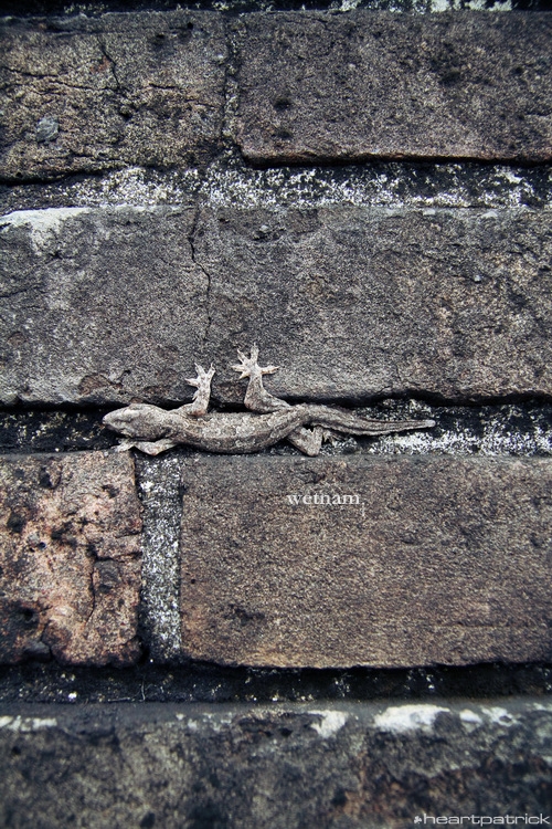 heartpatrick central vietnam hue hoi an myson danang