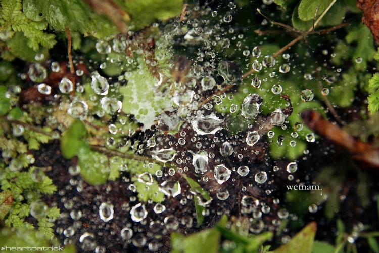 heartpatrick central vietnam hue hoi an myson danang