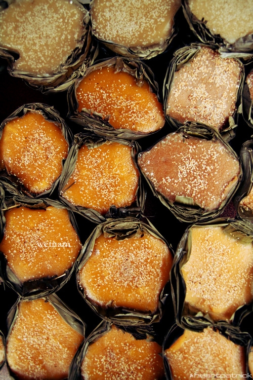 heartpatrick central vietnam hue hoi an myson danang