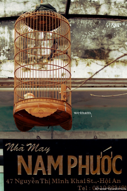 heartpatrick central vietnam hue hoi an myson danang