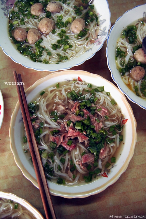 heartpatrick central vietnam hue hoi an myson danang