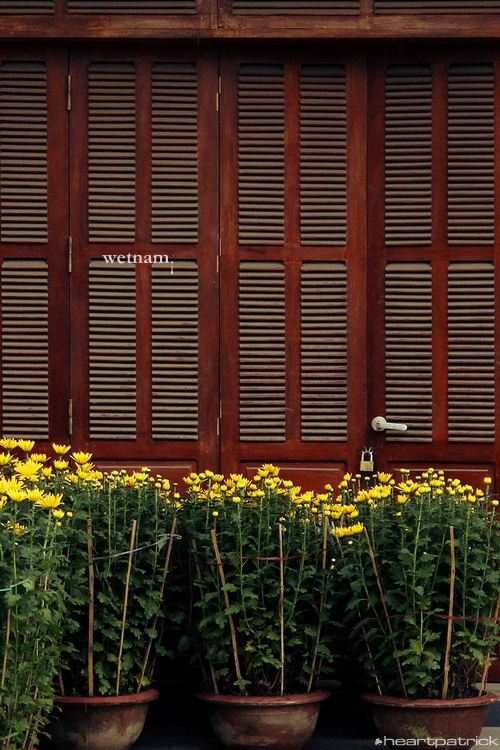 heartpatrick central vietnam hue hoi an myson danang