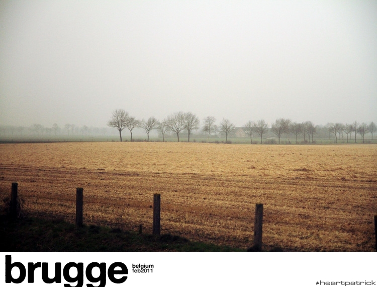 heartpatrick belgium brugge