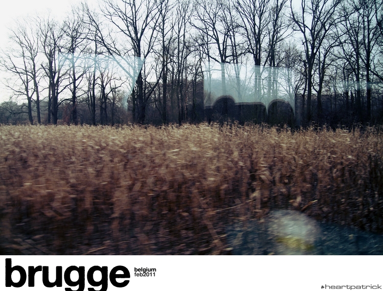 heartpatrick belgium brugge