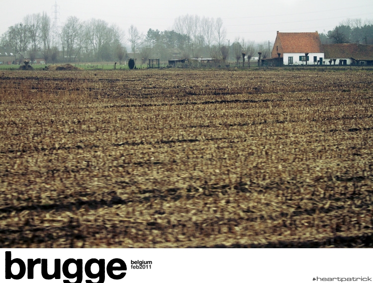 heartpatrick belgium brugge