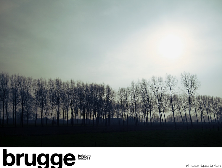 heartpatrick belgium brugge