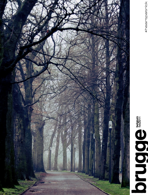 heartpatrick belgium brugge