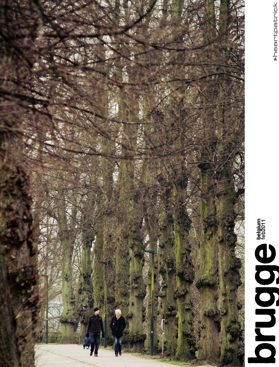 heartpatrick belgium brugge