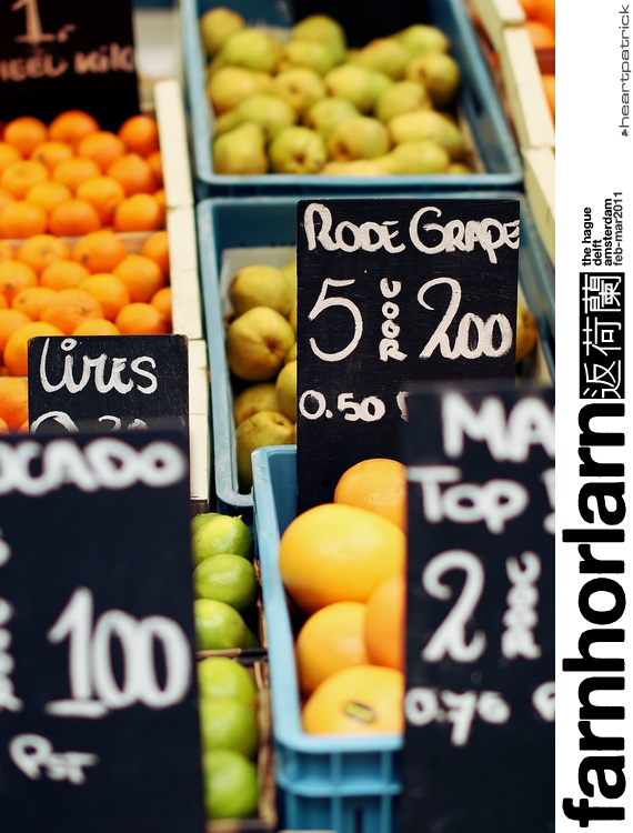 heartpatrick netherlands amsterdam hague delft