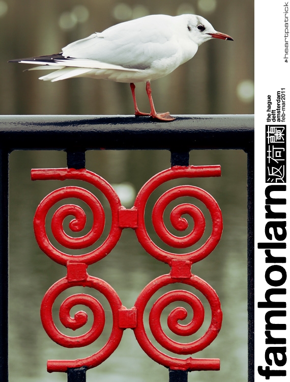 heartpatrick netherlands amsterdam hague delft