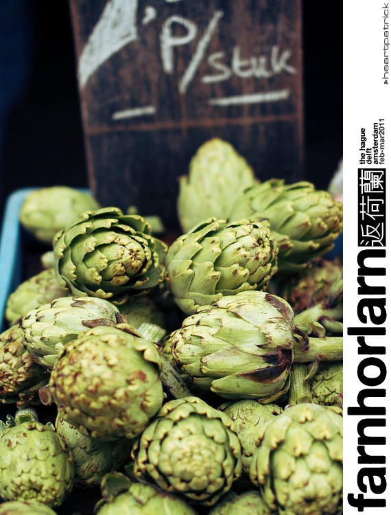 heartpatrick netherlands amsterdam hague delft