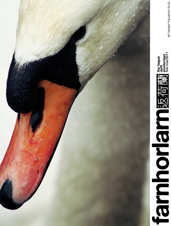 heartpatrick netherlands amsterdam hague delft