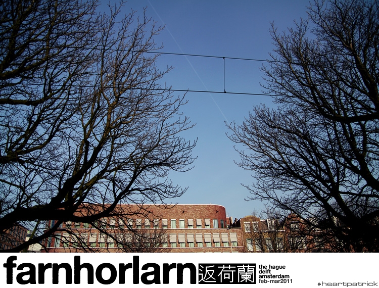 heartpatrick netherlands amsterdam hague delft