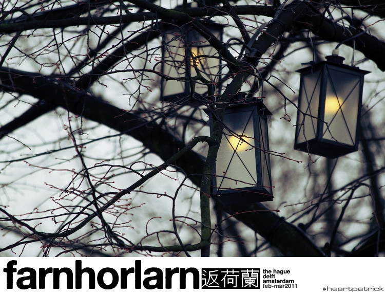 heartpatrick netherlands amsterdam hague delft