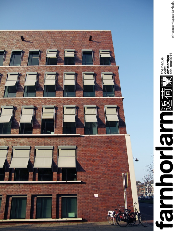 heartpatrick netherlands amsterdam hague delft