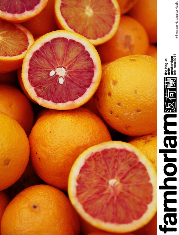 heartpatrick netherlands amsterdam hague delft