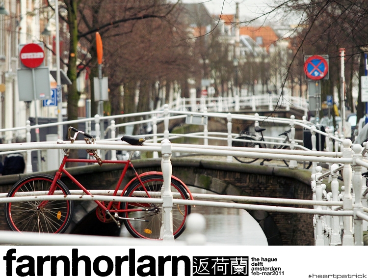 heartpatrick netherlands amsterdam hague delft