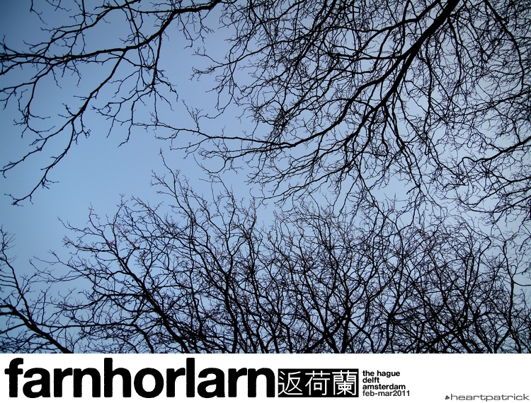 heartpatrick netherlands amsterdam hague delft