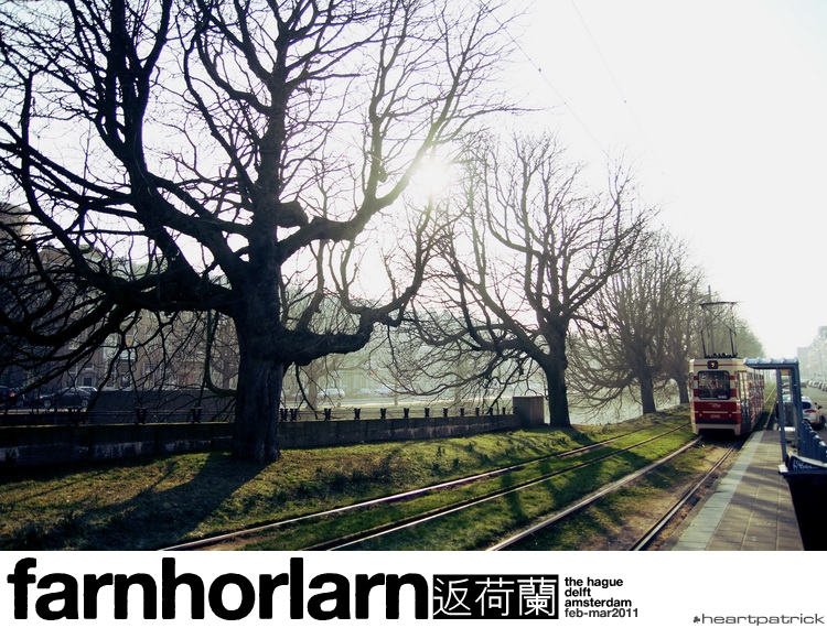 heartpatrick netherlands amsterdam hague delft