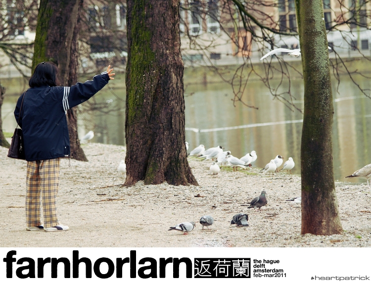 heartpatrick netherlands amsterdam hague delft