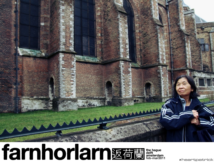 heartpatrick netherlands amsterdam hague delft