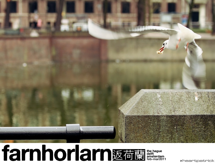 heartpatrick netherlands amsterdam hague delft