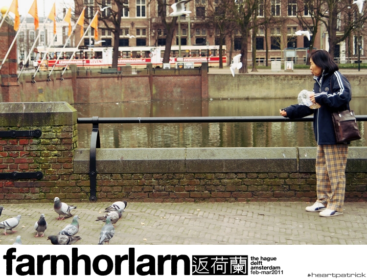 heartpatrick netherlands amsterdam hague delft