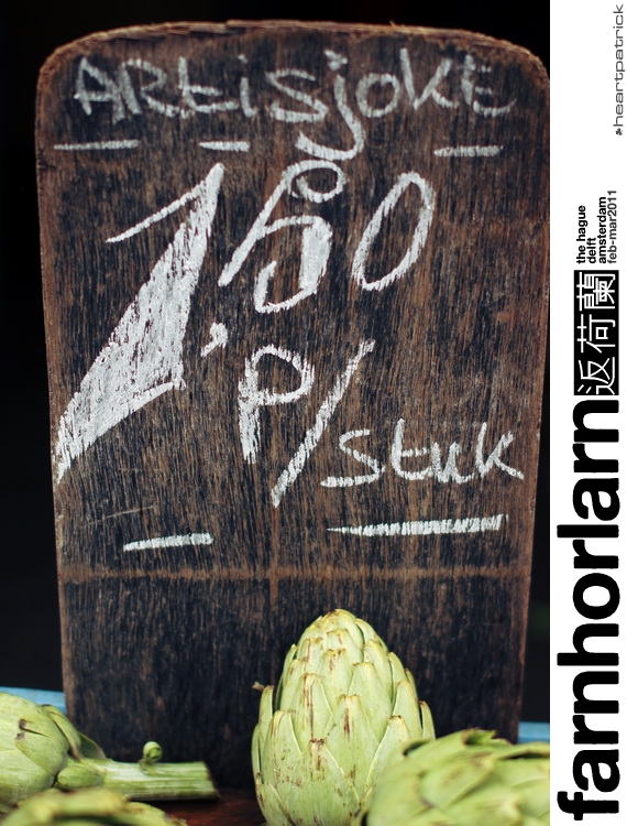 heartpatrick netherlands amsterdam hague delft