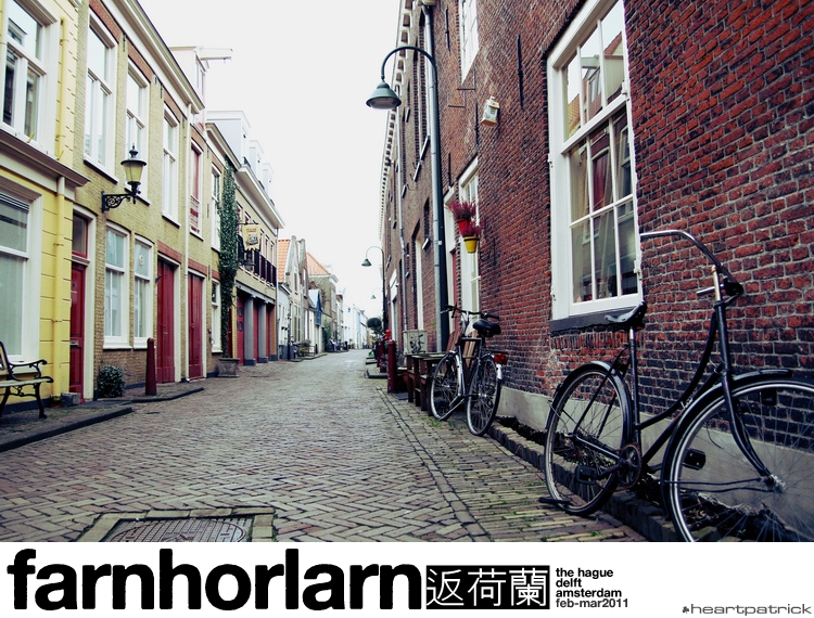 heartpatrick netherlands amsterdam hague delft