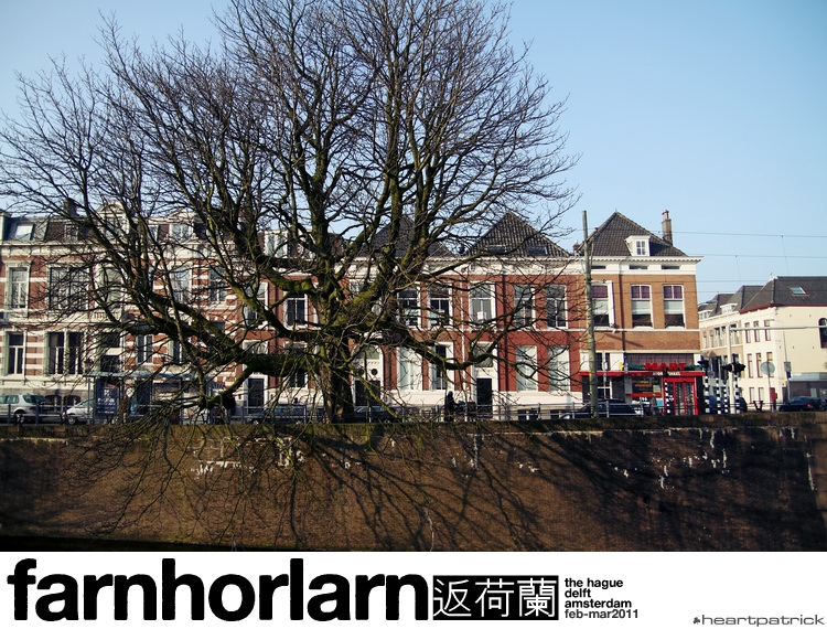 heartpatrick netherlands amsterdam hague delft
