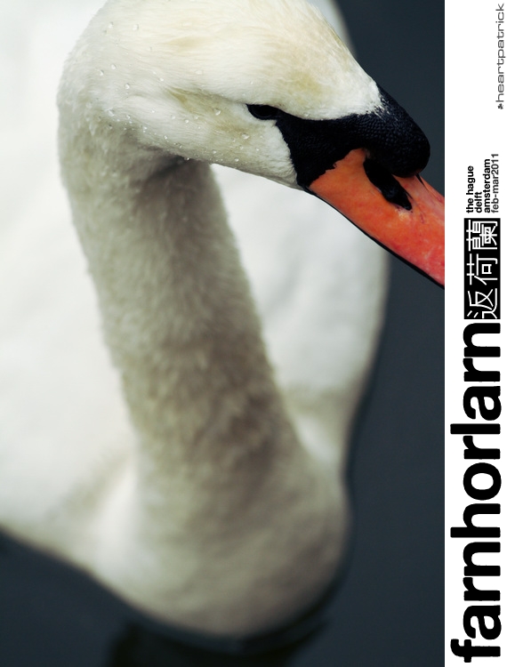 heartpatrick netherlands amsterdam hague delft