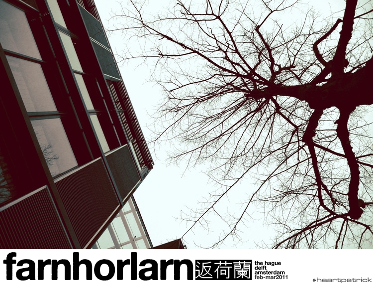 heartpatrick netherlands amsterdam hague delft
