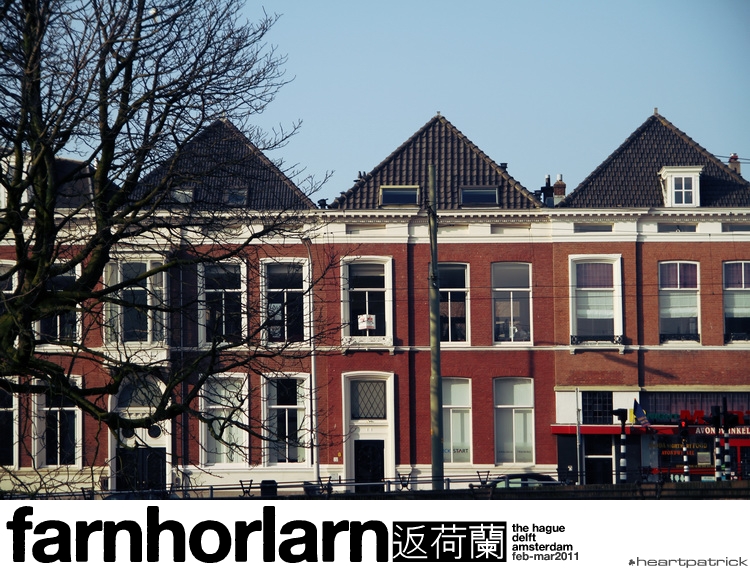 heartpatrick netherlands amsterdam hague delft