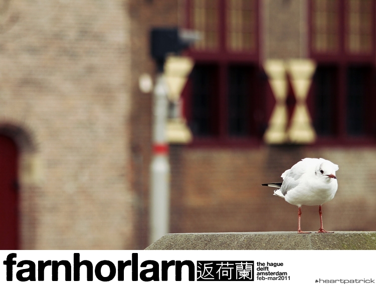 heartpatrick netherlands amsterdam hague delft