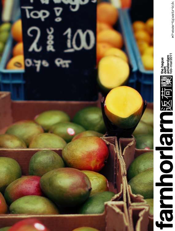 heartpatrick netherlands amsterdam hague delft