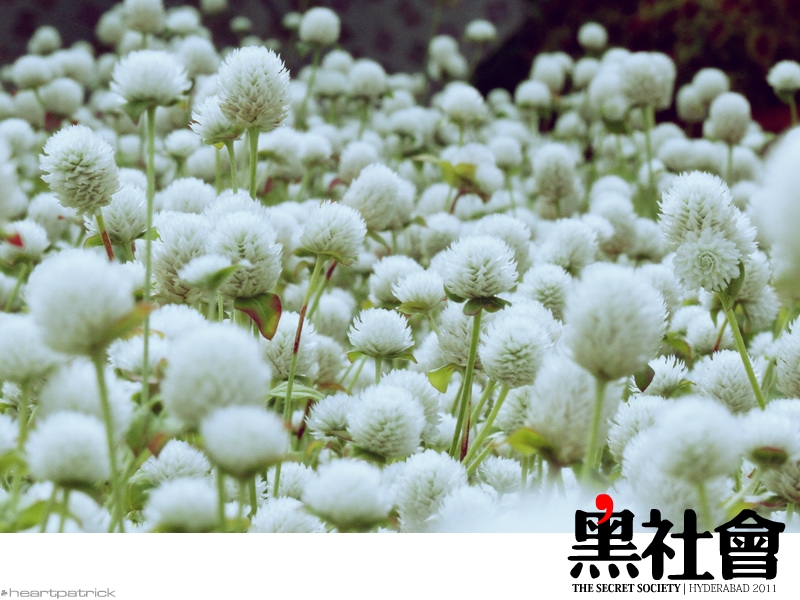 heartpatrick India Hyderabad street photography