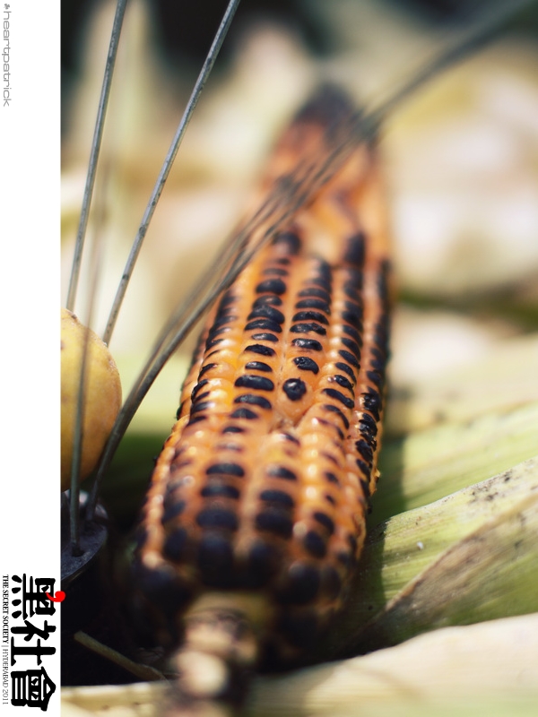 heartpatrick India Hyderabad street photography