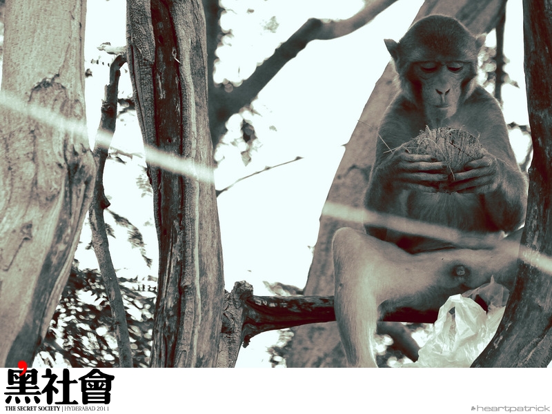 heartpatrick India Hyderabad street photography