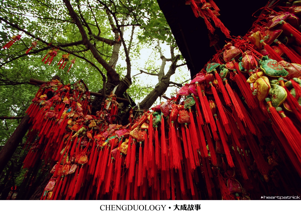 heartpatrick china chengdu