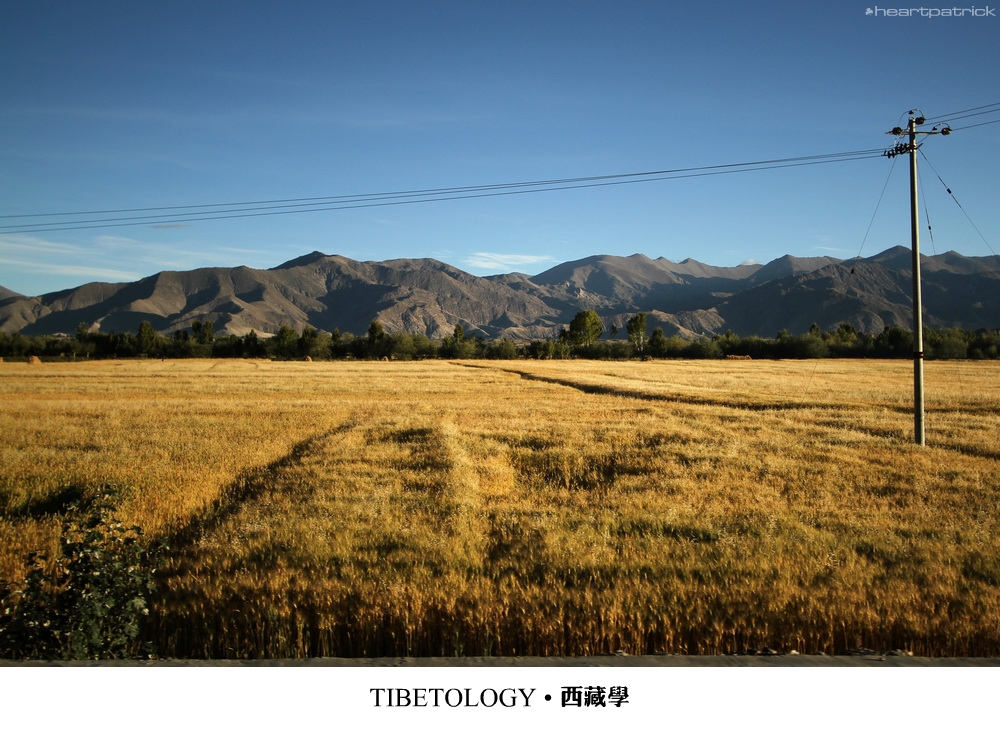 heartpatrick tibet china autumn