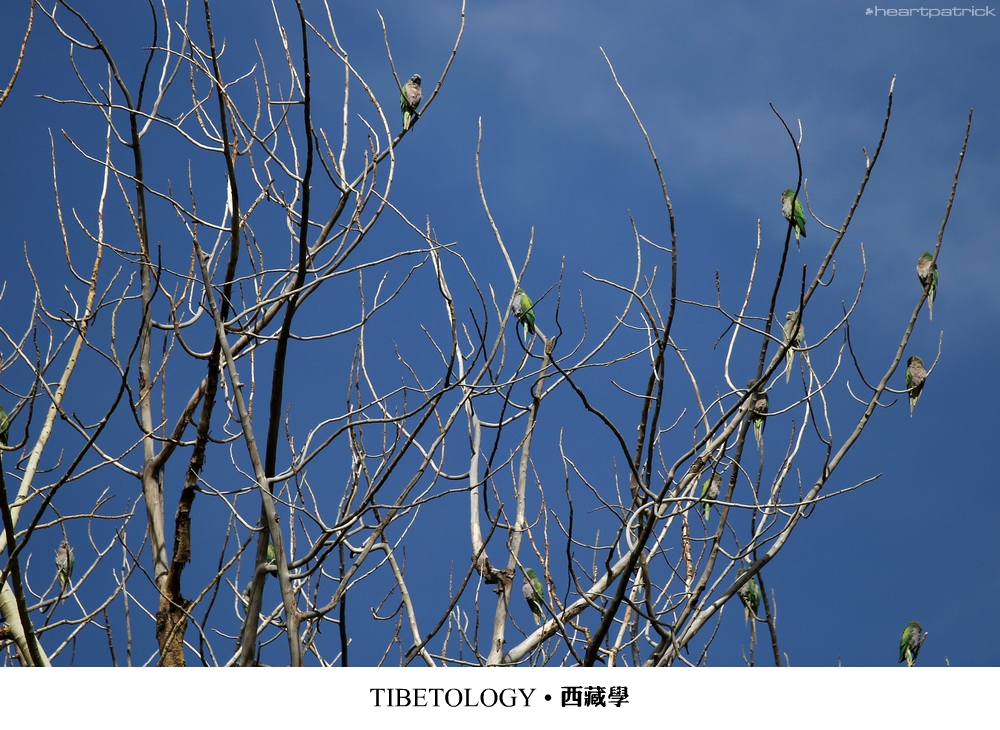 heartpatrick tibet china autumn