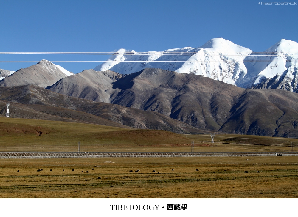 heartpatrick tibet china autumn