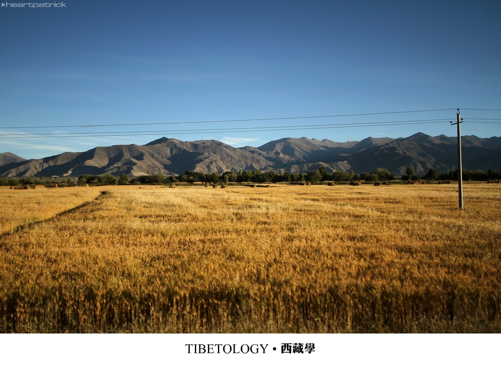 heartpatrick tibet china autumn