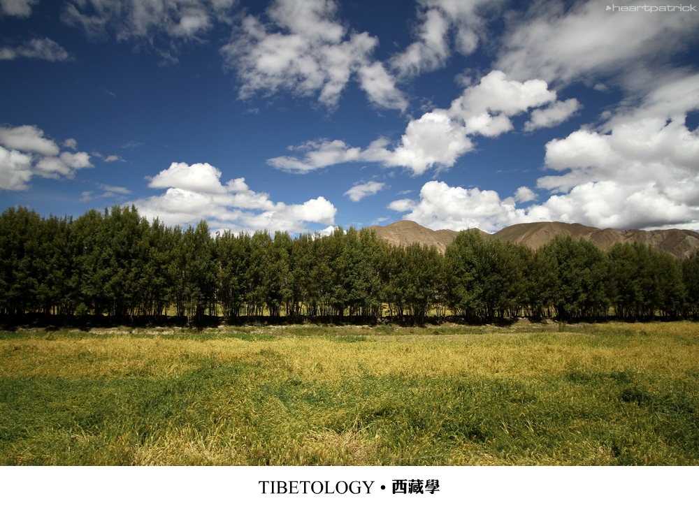 heartpatrick tibet china autumn