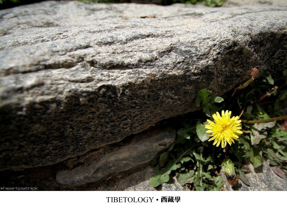 heartpatrick tibet china autumn