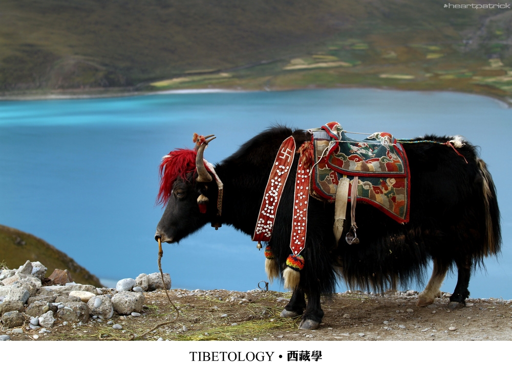 heartpatrick tibet china autumn